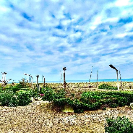Vue Mer Plage Parking Gratuit Wifi Village De Noel Le Barcarès Екстериор снимка